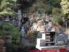 dscf0105_small.jpg