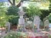 dscf0154_small.jpg