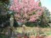 dscf0328_small.jpg