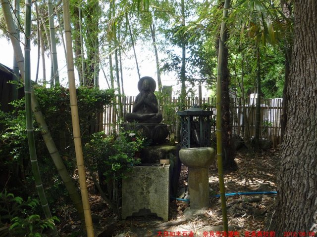 p1060981.jpg