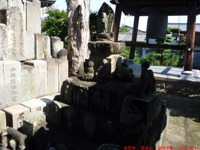 p1070002.jpg