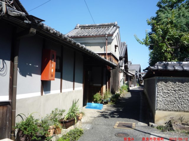 p1070469.jpg