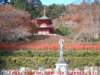dscf02312_small.jpg
