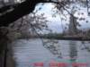 dscf0003_small.jpg