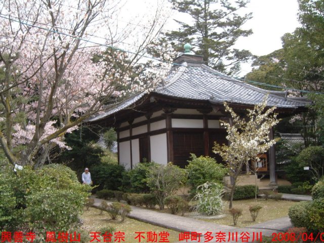 dscf0055.jpg