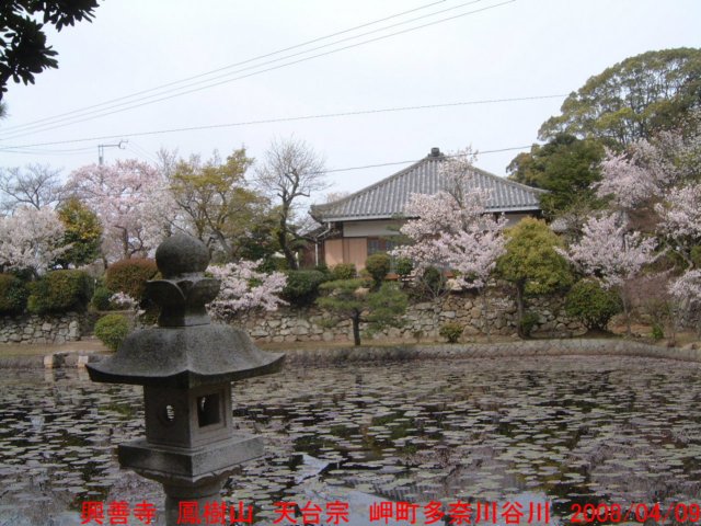 dscf0056.jpg