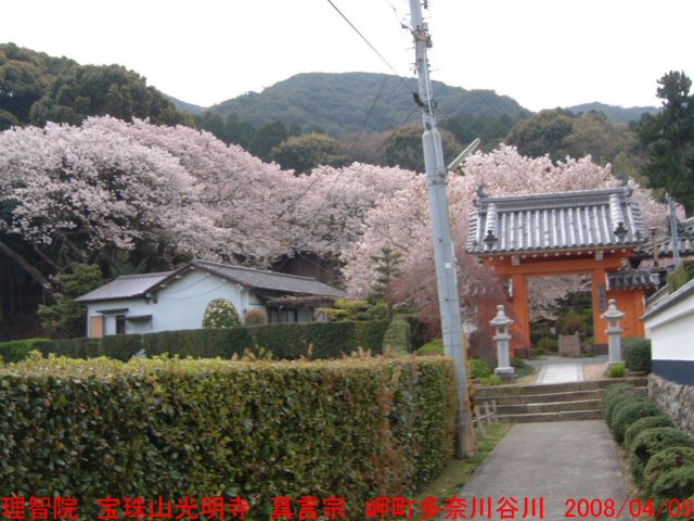 dscf0061.jpg