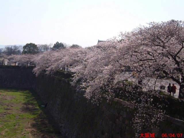 dscf0074.jpg