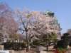 dscf0077_small.jpg