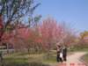 dscf0080_small.jpg
