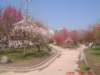 dscf0082_small.jpg