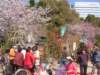 dscf0083_small.jpg
