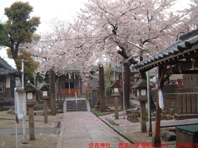 dscf0094.jpg