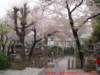 dscf0096_small.jpg