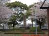 dscf0129_small.jpg