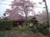 dscf0160_small.jpg