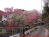 dscf0164_small.jpg