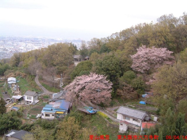 dscf0167.jpg