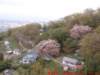 dscf0167_small.jpg