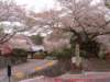 dscf0171_small.jpg