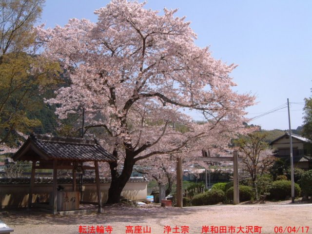 dscf0223.jpg