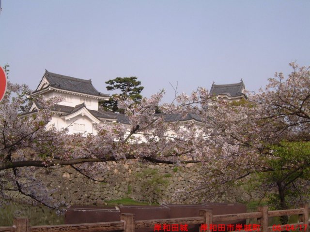 dscf0259.jpg