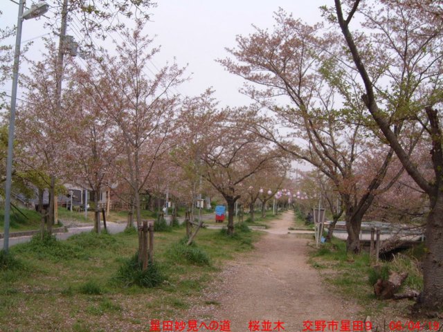dscf0291.jpg