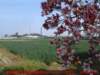 dscf0299_small.jpg