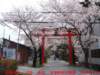 dscf0348_small.jpg