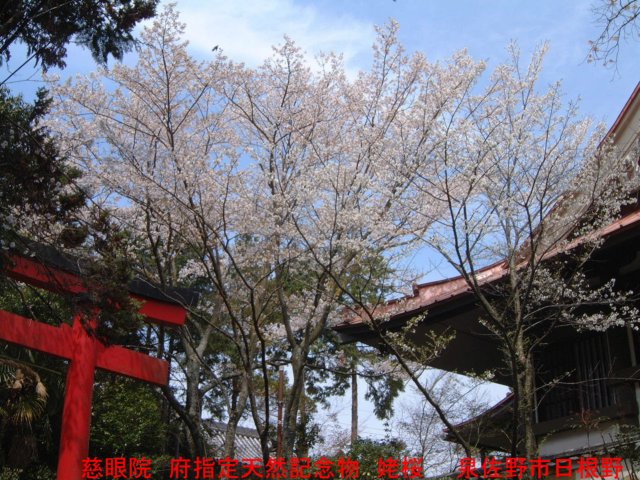 dscf0358.jpg