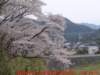 dscf0363_small.jpg