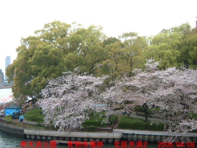 dscf0380.jpg