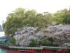 dscf0380_small.jpg