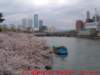 dscf0384_small.jpg