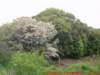 dscf0020_small.jpg