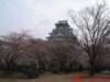 dscf0001_small.jpg