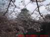 dscf0003_small.jpg
