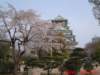 dscf0006_small.jpg