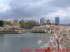 dscf00082_small.jpg