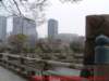dscf0008_small.jpg