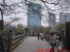 dscf00093_small.jpg