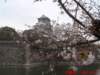 dscf0011_small.jpg
