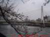 dscf0013_small.jpg