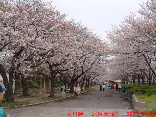 dscf0019.jpg