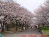 dscf0019_small.jpg
