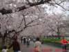 dscf0021_small.jpg