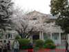 dscf0022_small.jpg