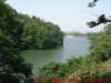 dscf0034_small.jpg