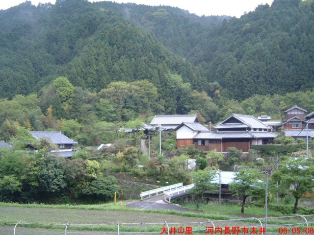 dscf00443.jpg