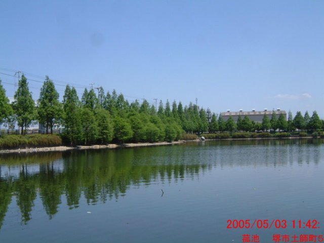 dscf00512.jpg